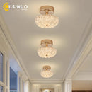 Axyaa Modern LED Gold Ceiling Light for Home Bedroom Living Room Kitchen