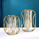 Axyaa Glass Vase Hydroponics Flower Pot Desk Decoration - Room Aesthetic Decor