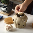 Axya Ventilated Storage Jar for Garlic, Chili, Ginger - Moisture Proof, Anti-Mold Organizer