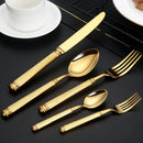 Axyaa Stainless Steel Cutlery Set for Western Dining
