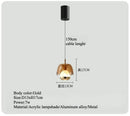 Axyaa Black Gold LED Pendant Light for Bedrooms & Living Rooms