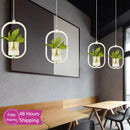Modern LED Plant Pot Pendant Lights for Home Decor by Axyaa