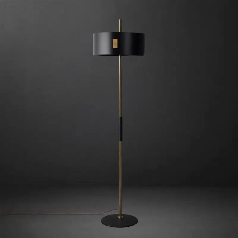 Axyaa Modern Black Metal Floor Lamp - LED Indoor Lighting for Study Room