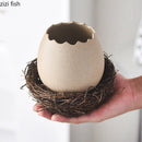 Axyaa Ceramic Eggshell Bowl Set - Creative Kitchenware for Salad, Dessert, and Ice Cream