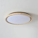 Axyaa Acryl Travertine LED Ceiling Light - Natural Stone Modern Ceiling Lamp