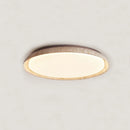 Axyaa Vintage Yellow Cave Stone Ceiling Light, LED Lamp for Living Room & Bedroom
