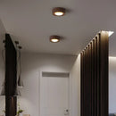 Axyaa Modern LED Ceiling Lights for Home Decor, Indoor Chandelier Lamp