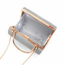 Axyaa Silver Striped Evening Bag Handbag with Chain Crossbody