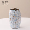 Axyaa Ceramic Vase: Stylish Hydroponic Decor for Home and Hotel Displays