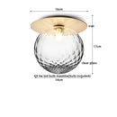 Axyaa Modern Iron Glass LED Ceiling Lamp for Home Lighting