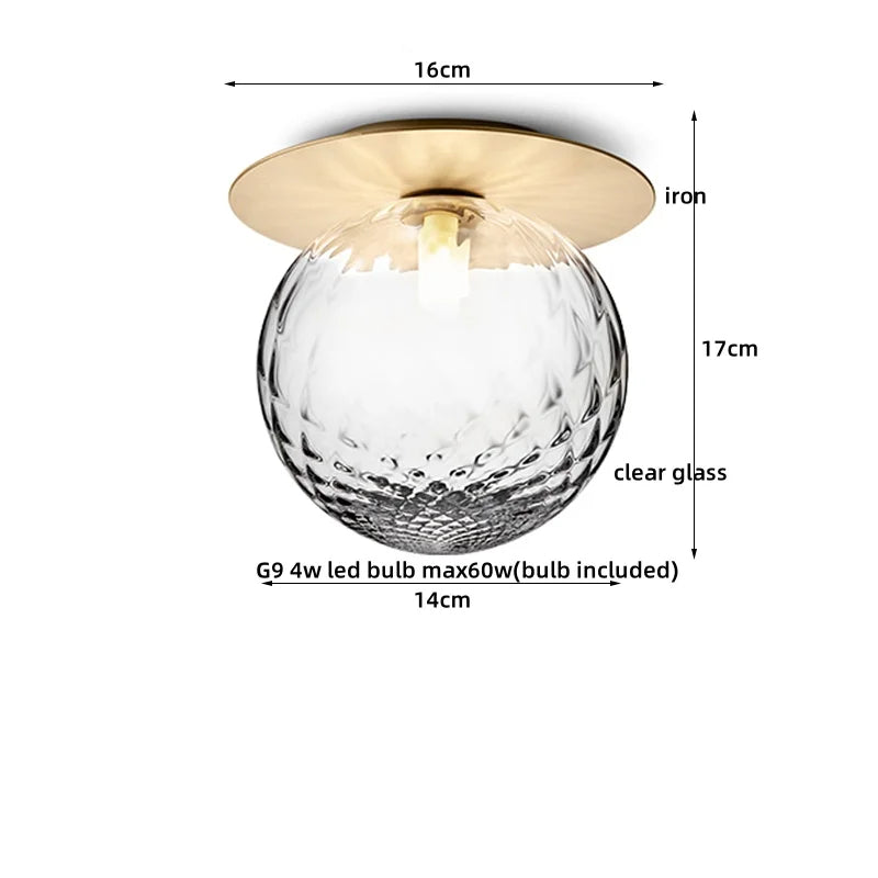 Axyaa Modern Iron Glass LED Ceiling Lamp for Home Lighting