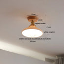 Axyaa Amber Glass LED Ceiling Lights Home Decoration Kitchen Restaurant Modern Ceiling Lamp