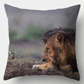 Axyaa Wild Animal Pillow Case Collection