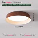 Axyaa Nordic LED Ceiling Light: Remote Control Chandelier for Bedroom Living Room Aisle