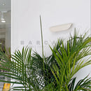Axyaa LED Wall Lamp: Waterproof Nordic Design for Garden, Corridor, Homestay, Aisle.
