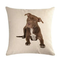 Axyaa Dog Cushion Covers Collection