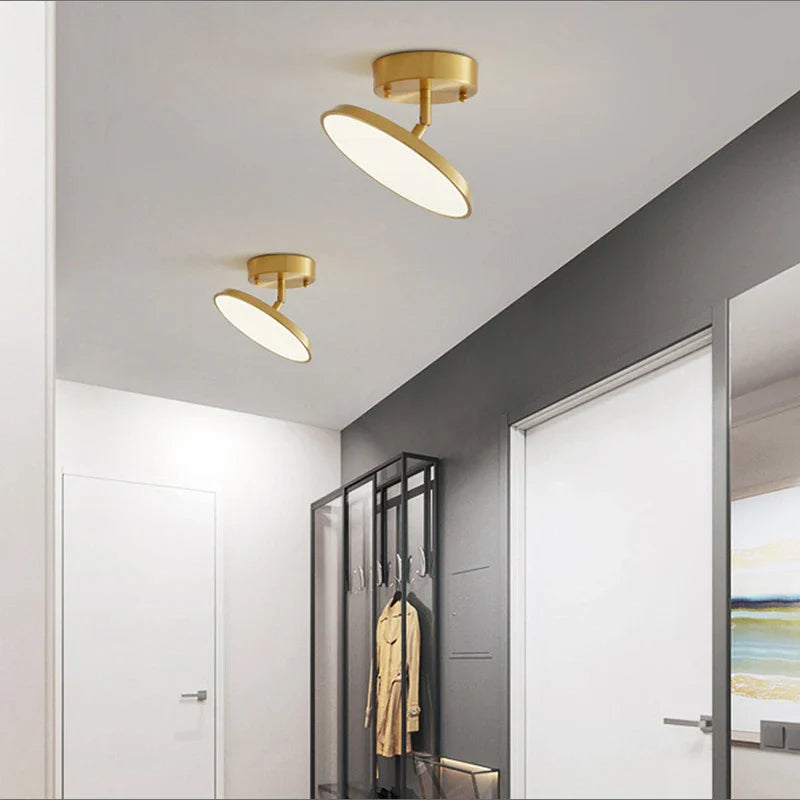 Axyaa Rotatable LED Ceiling Light for Home Decor