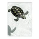 Axyaa Beach Starfish Bridge Canvas Painting - Nordic Wall Art Prints for Bedroom