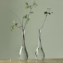 Axyaa Transparent Glass Zen Vase for Living Room Decor and Hydroponic Plants