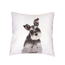 Siberian Husky Dogs Cushion Cover 45X45CM by Axyaa