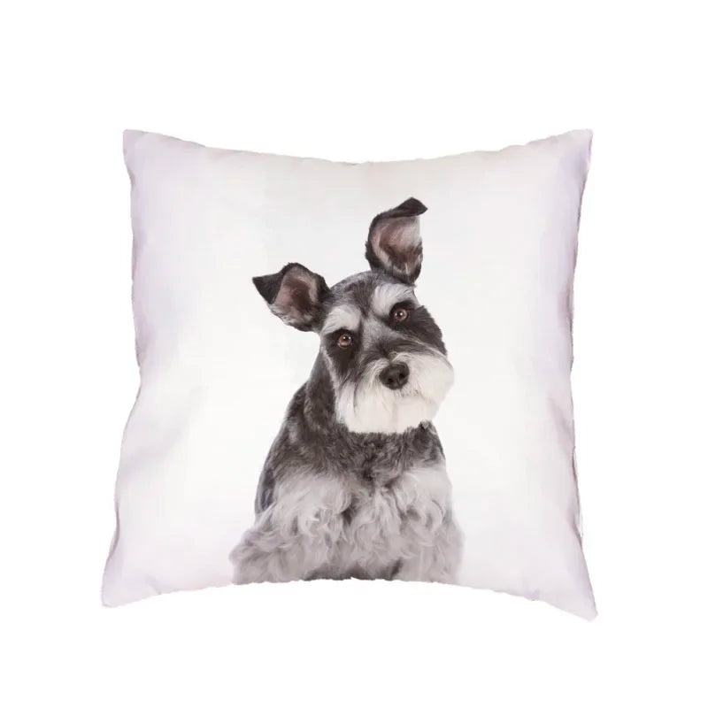 Siberian Husky Dogs Cushion Cover 45X45CM by Axyaa