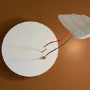 Axyaa French Feather Wings Bird Wall Lamp for Home Decor