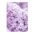Axyaa Lavender Field Canvas Wall Art Nordic Style Landscape Posters