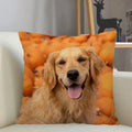 Axyaa Golden Retriever Dog Sofa Pillowcase for home decor