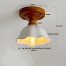Axyaa Glass Ceiling Lamp: Modern LED Indoor Lighting for Living Room & Balcony