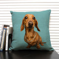 Axyaa Bulldog Dachshund Cushion Cover 45x45cm Square Linen Pillowcase