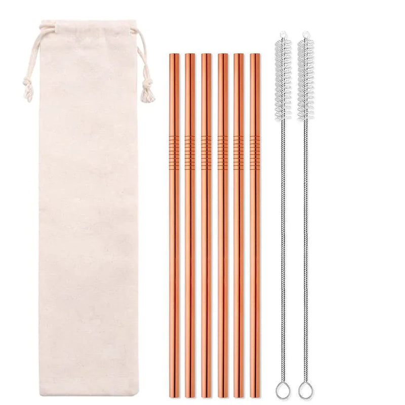 Axyaa Stainless Steel Straws Set - Eco-Friendly Reusable Portable Travel Essential