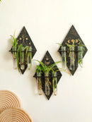 Wooden Plant Propagation Station with Plastic Test Tubes by Axyaa - Boho Home Decor