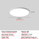 Axyaa Modern LED Ceiling Light for Bedroom, Living Room, and Hallway