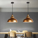 Axyaa Vintage Industrial Loft Pendant Lamp Metal Rustic Hanging Lighting