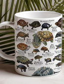 Axyaa Turtle Atlas Mug - Vintage Botanical Illustration, Microwave Safe Coffee Cup