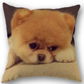 Axyaa Pomeranian Dog Pillowcase Cotton Linen Square Zipper 45X45cm Wedding Decor Pillow cover