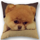 Axyaa Pomeranian Dog Pillowcase Cotton Linen Square Zipper 45X45cm Wedding Decor Pillow cover