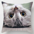 Axyaa Cat Collection Pillowcase - Home & Office Decor Square Pillowcase