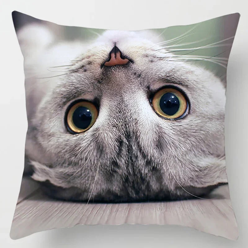 Axyaa Cat Collection Pillowcase - Home & Office Decor Square Pillowcase