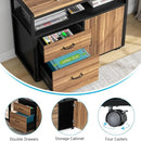 Axyaa Modern File Cabinet with Lockable Drawers and Door for Letter-sized Files