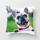 Axyaa French Bulldog Cushion Cover - 45X45CM