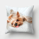Dog Pattern Cushion Cover for Home Decor by Axyaa