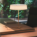Axyaa Minimalist Floor Lamp for Living Room Coffee Office Study Room Lighting