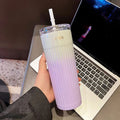 Axyaa Gradient Stainless Steel Thermos Straw Cup 500ML