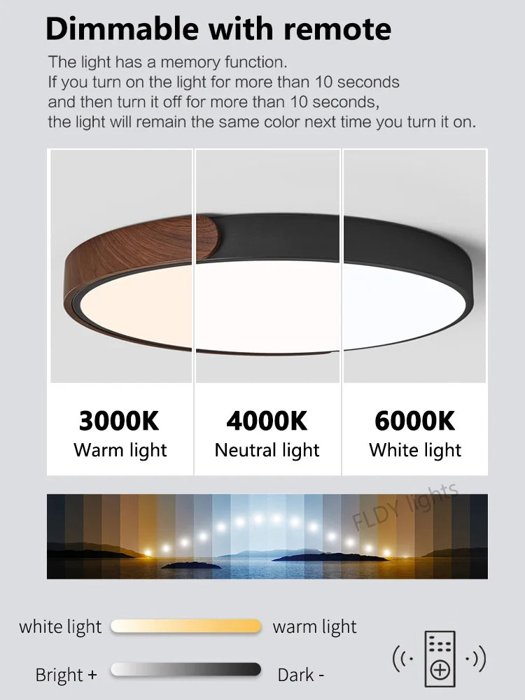 Axyaa Ultra-Thin Bedroom Ceiling Lamp, Modern Nordic Design, Full Spectrum Eye Protection