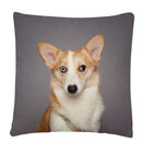 Axyaa Dog Art Print Polyester Cushion Cover for Home Sofa Car Decor