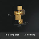 Axyaa Nordic Glass Wall Lamp for Living Room Bedroom Study, All Copper Design
