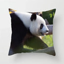 Axyaa Panda Print Polyester Cushion Cover - 45x45cm