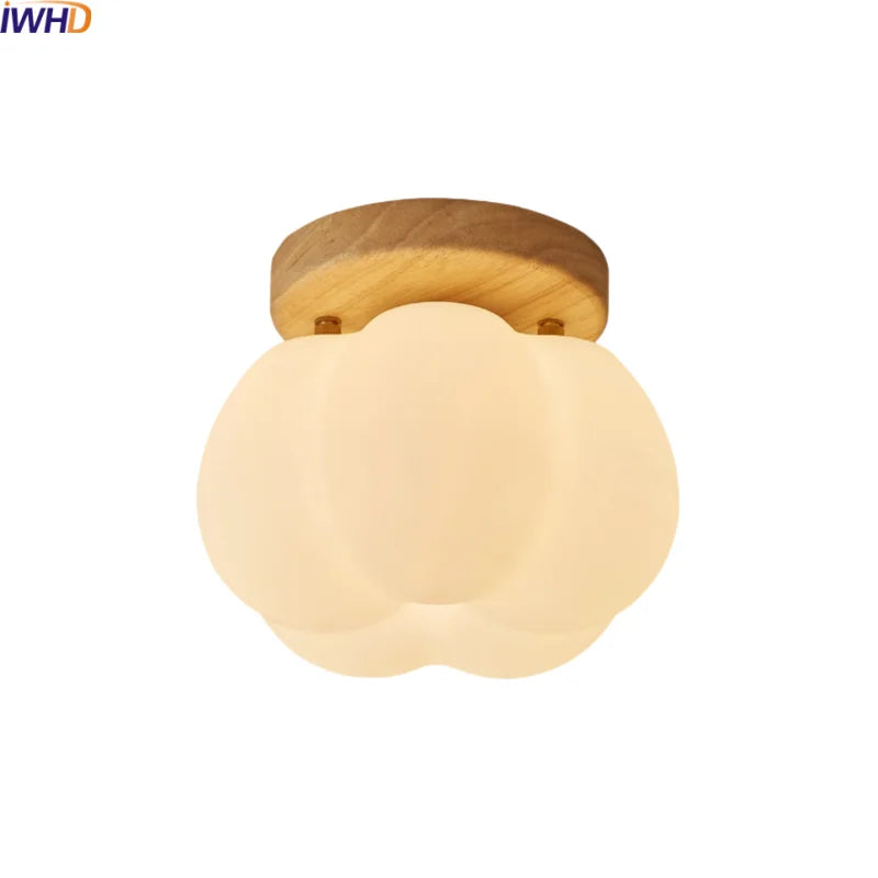 Axyaa Modern LED Ceiling Light for Indoor Lighting - Nordic Style Balcony Living Room Fixture