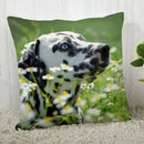 Dalmatians Pillowcase - Axyaa Modern Living Room Decoration